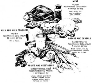 Figure 6-4. Four basic food groups.