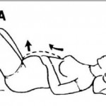 Figure 7-4. Abdominal muscle contractions exercise.