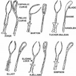 Figure 5-3. Types of forceps.