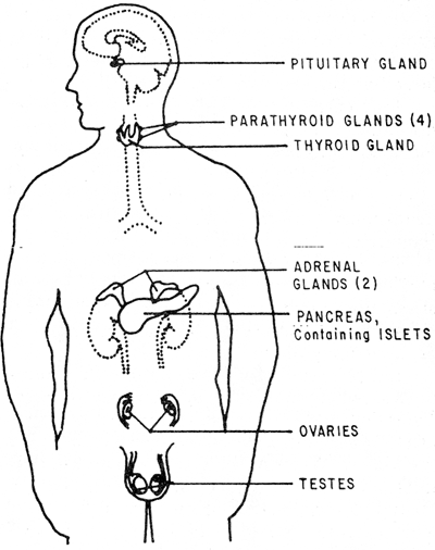 Naval Education and Training Command: Hospital Corpsman 3 & 2: Chapter ...