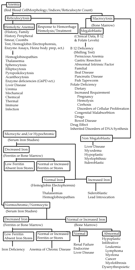General Medical Officer (GMO) Manual: Clinical Section: Anemia