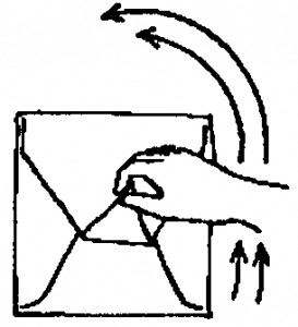 Figure 3-2. Distal flap