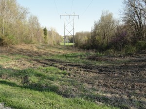 Powerline Utility easement cutting through the forest