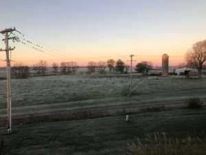 Frost on the fields, mid-November