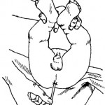 Figure 2-13. Inserting a rectal thermometer in an infant.