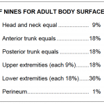 Figure 3-4. Rule of nines for adult body surface burns