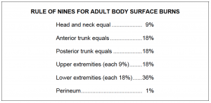 3-16 Thermal Burns: The Rule Of Nines - Wound Care