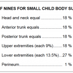 Figure 3-5. Rule of nines for small child body surface burns.