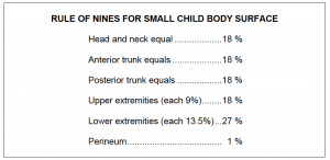 Figure 3-5. Rule of nines for small child body surface burns.