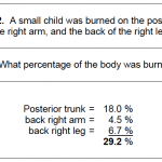 Figure 3-7. Calculating percentage of burn, example 2.